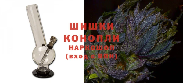 мдпв Богородск