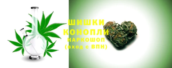 СК Волоколамск