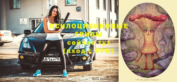 прущие крисы Вязьма