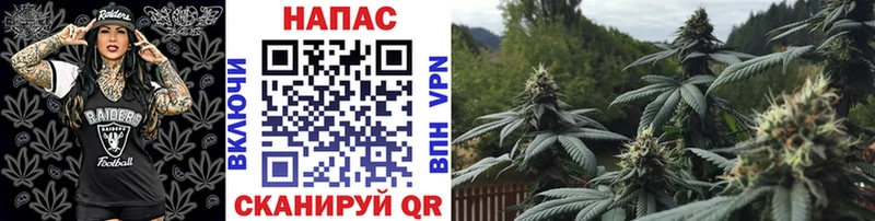 mega вход  Злынка  МАРИХУАНА конопля 